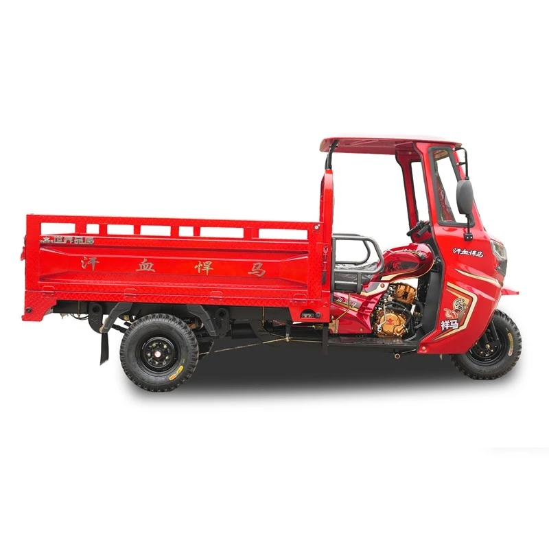 Half-enclosed Cargo Trike for adult